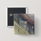 Stall Swallow Serie Button (Vorne & Hinten)