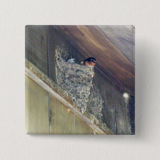 Stall Swallow Serie Button (Vorderseite)