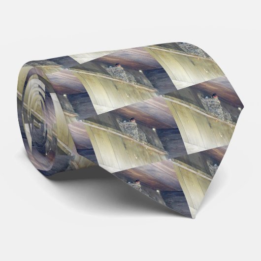 Stall Swallow Serie Krawatte (Gerollt)