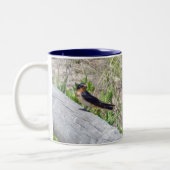 Stall Swallow Serie Zweifarbige Tasse (Links)