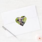 Stall Swallow Stickers (Umschlag)