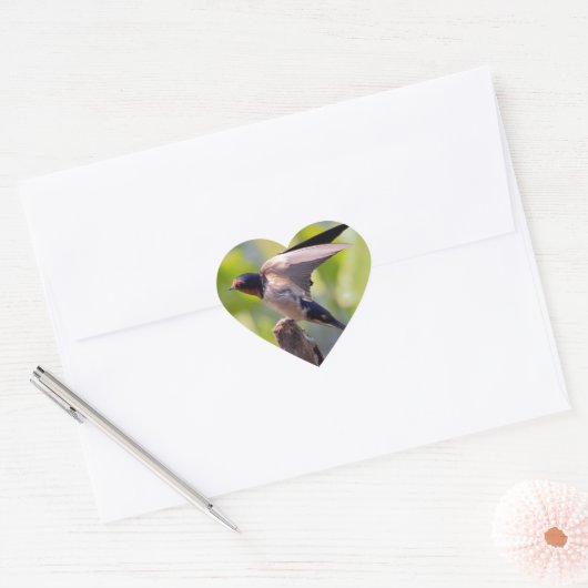 Stall Swallow Stickers (Umschlag)