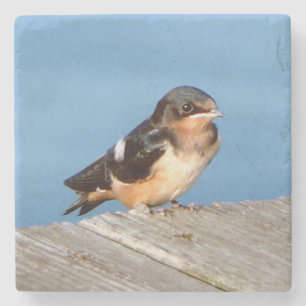 Stall Swallow Stone Untersetzer