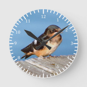 Stall Swallow Uhr