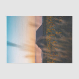 Stall umgeben von einem Sonnenblumenfeld im Sonnen Seidenpapier