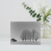 Stall und Bäume Postkarte (Stehend Vorderseite)