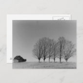 Stall und Bäume Postkarte (Vorne/Hinten)