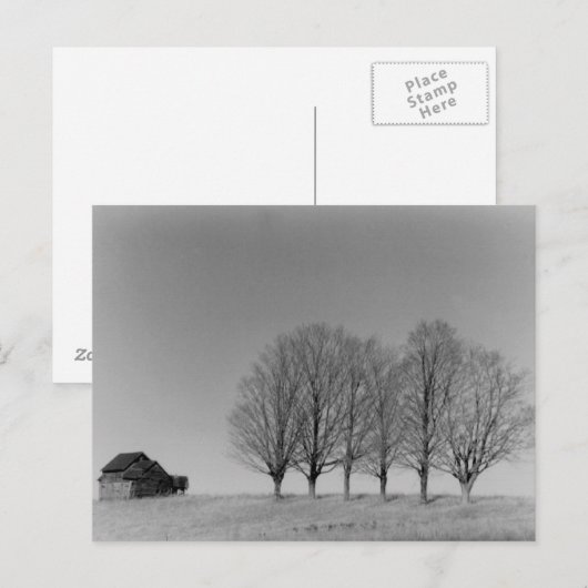 Stall und Bäume Postkarte (Vorne/Hinten)
