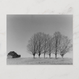 Stall und Bäume Postkarte