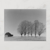 Stall und Bäume Postkarte (Vorderseite)