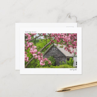 Stall und Blüten Postkarte