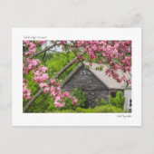 Stall und Blüten Postkarte (Vorderseite)