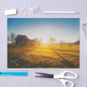 Stall und Feld, sonnengetrocknet Seidenpapier (Handwerk)