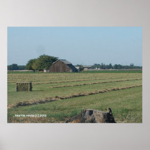 Stall und Hystack Poster