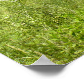 Stall und Outhouse Poster (Ecke)