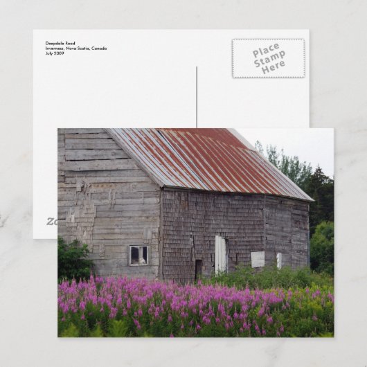 Stall und Wildblumen Postkarte (Vorne/Hinten)