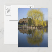 Stall und Willow am Teich Postkarte (Vorne/Hinten)