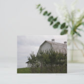 Stall versteckt hinter Pinienbäumen Postkarte (Stehend Vorderseite)