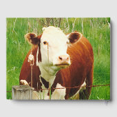 Stall Wedding Cow Couple (Namen) Gästebuch (Rückseite)