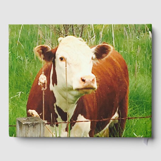 Stall Wedding Cow Couple (Namen) Gästebuch (Rückseite)