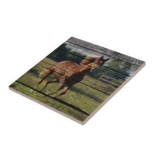 Stall Woodgrain Country Ranch Galloping Brown Hors Fliese