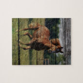Stall Woodgrain Country Ranch Galloping Brown Hors Puzzle (Horizontal)