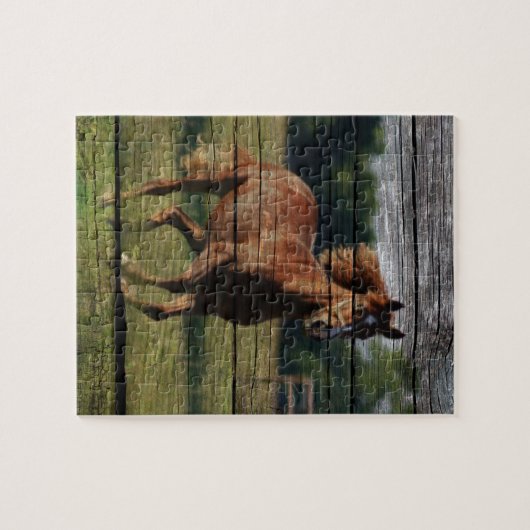 Stall Woodgrain Country Ranch Galloping Brown Hors Puzzle (Horizontal)