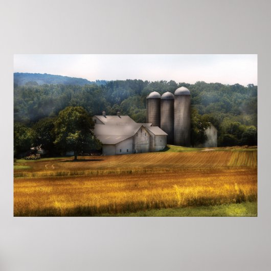 Stall - Zuhause im Bereich Poster (Vorne)