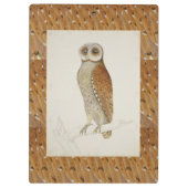 Stallbucht Uhu rustikale Vintage Naturvogel Illust Klemmbrett (Rückseite)