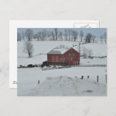 Stallfarm Postkarte (Vorne/Hinten)