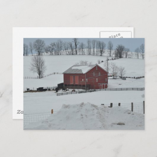 Stallfarm Postkarte (Vorne/Hinten)