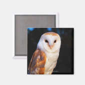 Stallhuhn 2 magnet (Vorderseite/Rückseite)