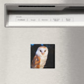 Stallhuhn 2 magnet (In Situ (Geschirrspüler))