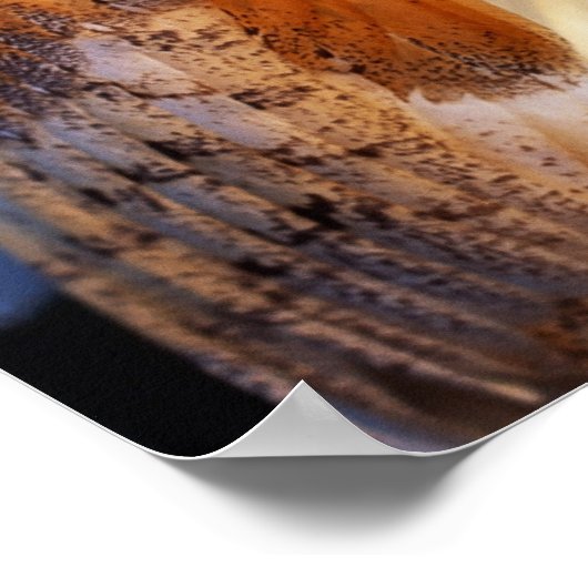 Stallhuhn 2 poster (Ecke)