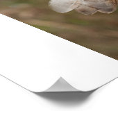 Stallhuhn auf einem Zaun Poster (Ecke)