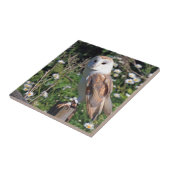 Stallhuhn Fliese (Seite)
