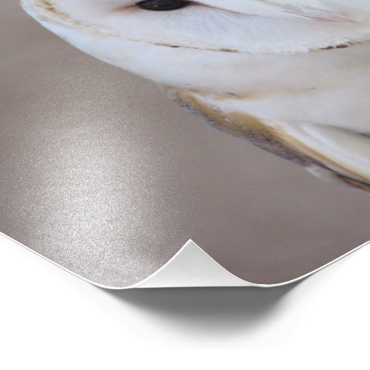 Stallhuhn Fotodruck (Ecke)