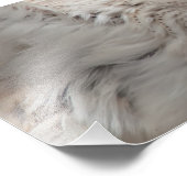 Stallhuhn Fotodruck (Ecke)