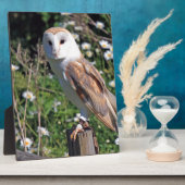 Stallhuhn Fotoplatte (Seite)