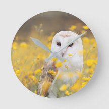 Stallhuhn in Gelben Blume