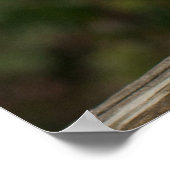 Stallhuhn Poster (Ecke)