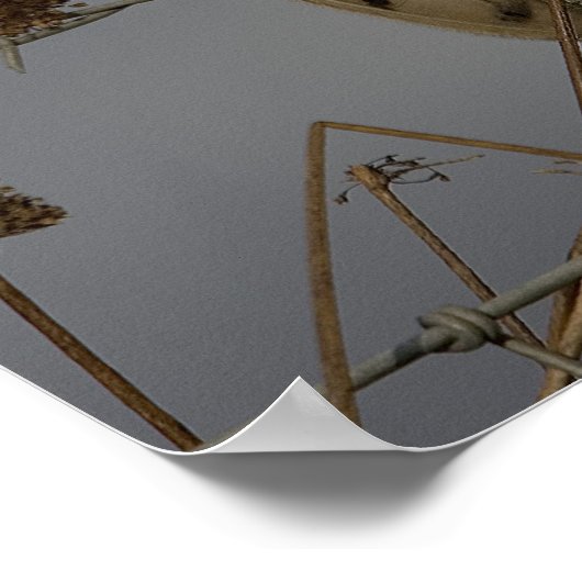 Stallhuhn Poster (Ecke)