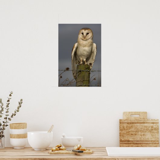 Stallhuhn Poster (Küche)