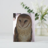 Stallhuhn Postkarte (Stehend Vorderseite)