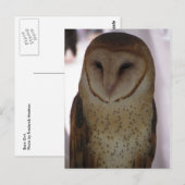 Stallhuhn Postkarte (Vorne/Hinten)