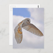 Stallhuhn Postkarte (Vorne/Hinten)