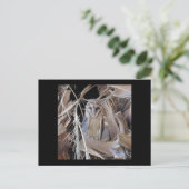 Stallhuhn Postkarte (Stehend Vorderseite)