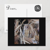 Stallhuhn Postkarte (Vorne/Hinten)