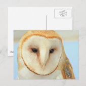 Stallhuhn Postkarte (Vorne/Hinten)