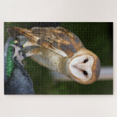 Stallhuhn Puzzle (Horizontal)